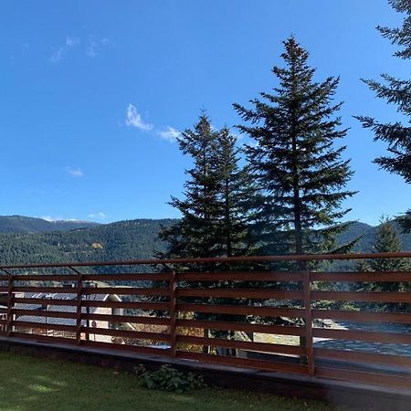Apartament La Molina ألب المظهر الخارجي الصورة